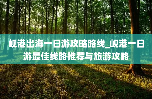 岘港出海一日游攻略路线_岘港一日游最佳线路推荐与旅游攻略