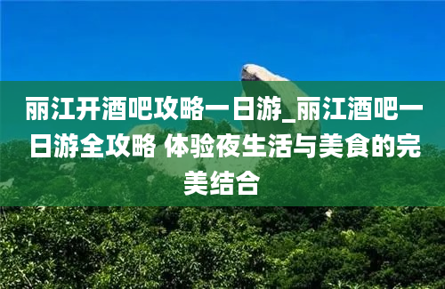 丽江开酒吧攻略一日游_丽江酒吧一日游全攻略 体验夜生活与美食的完美结合