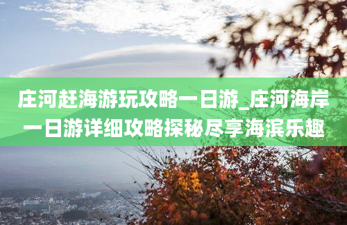 庄河赶海游玩攻略一日游_庄河海岸一日游详细攻略探秘尽享海滨乐趣