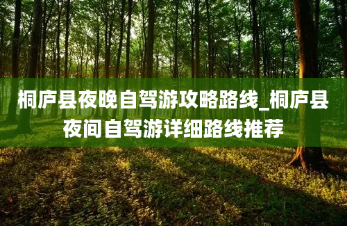 桐庐县夜晚自驾游攻略路线_桐庐县夜间自驾游详细路线推荐