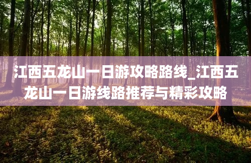 江西五龙山一日游攻略路线_江西五龙山一日游线路推荐与精彩攻略