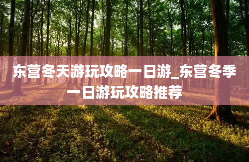 东营冬天游玩攻略一日游_东营冬季一日游玩攻略推荐