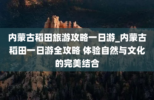 内蒙古稻田旅游攻略一日游_内蒙古稻田一日游全攻略 体验自然与文化的完美结合