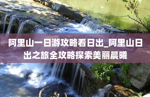 阿里山一日游攻略看日出_阿里山日出之旅全攻略探索美丽晨曦