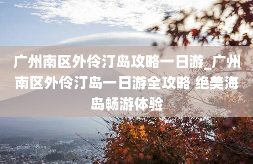 广州南区外伶汀岛攻略一日游_广州南区外伶汀岛一日游全攻略 绝美海岛畅游体验