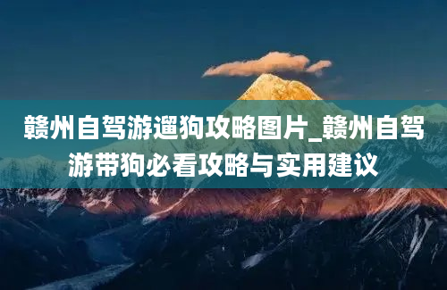 赣州自驾游遛狗攻略图片_赣州自驾游带狗必看攻略与实用建议