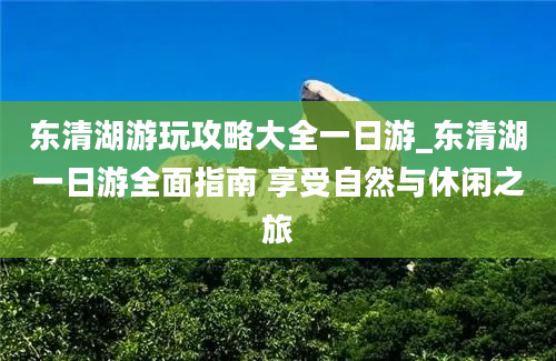 东清湖游玩攻略大全一日游_东清湖一日游全面指南 享受自然与休闲之旅