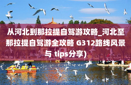 从河北到那拉提自驾游攻略_河北至那拉提自驾游全攻略 G312路线风景与 tips分享)