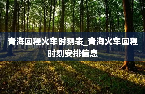 青海回程火车时刻表_青海火车回程时刻安排信息