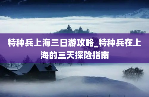 特种兵上海三日游攻略_特种兵在上海的三天探险指南