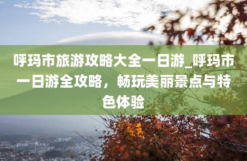 呼玛市旅游攻略大全一日游_呼玛市一日游全攻略，畅玩美丽景点与特色体验