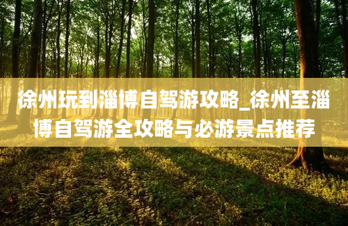 徐州玩到淄博自驾游攻略_徐州至淄博自驾游全攻略与必游景点推荐