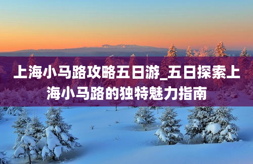 上海小马路攻略五日游_五日探索上海小马路的独特魅力指南