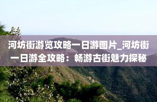 河坊街游览攻略一日游图片_河坊街一日游全攻略：畅游古街魅力探秘