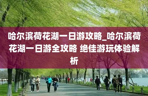 哈尔滨荷花湖一日游攻略_哈尔滨荷花湖一日游全攻略 绝佳游玩体验解析