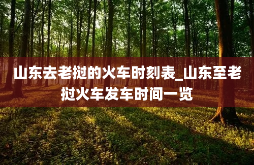 山东去老挝的火车时刻表_山东至老挝火车发车时间一览