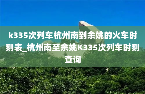 k335次列车杭州南到余姚的火车时刻表_杭州南至余姚K335次列车时刻查询