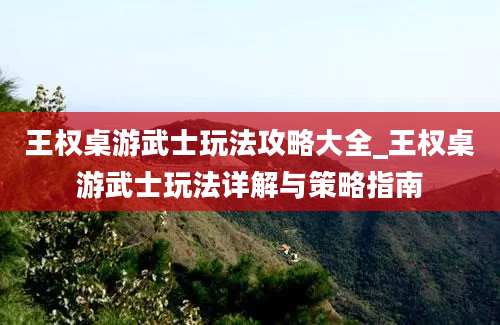 王权桌游武士玩法攻略大全_王权桌游武士玩法详解与策略指南