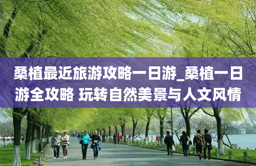 桑植最近旅游攻略一日游_桑植一日游全攻略 玩转自然美景与人文风情