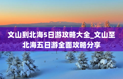 文山到北海5日游攻略大全_文山至北海五日游全面攻略分享