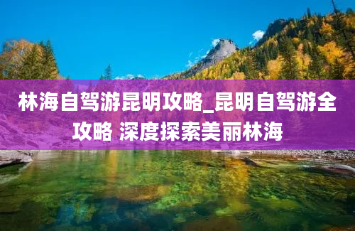 林海自驾游昆明攻略_昆明自驾游全攻略 深度探索美丽林海