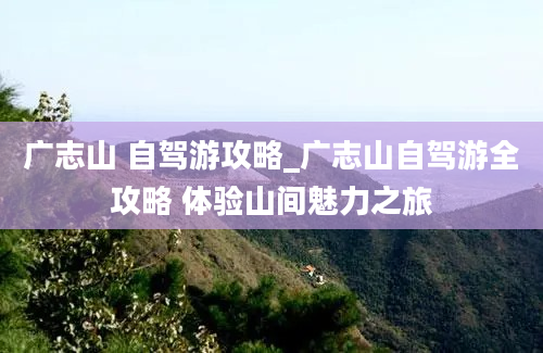 广志山 自驾游攻略_广志山自驾游全攻略 体验山间魅力之旅