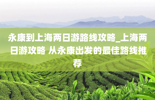 永康到上海两日游路线攻略_上海两日游攻略 从永康出发的最佳路线推荐