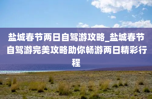 盐城春节两日自驾游攻略_盐城春节自驾游完美攻略助你畅游两日精彩行程