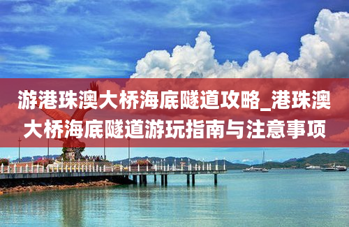 游港珠澳大桥海底隧道攻略_港珠澳大桥海底隧道游玩指南与注意事项