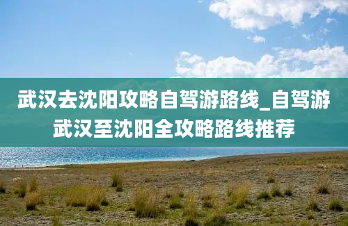 武汉去沈阳攻略自驾游路线_自驾游武汉至沈阳全攻略路线推荐