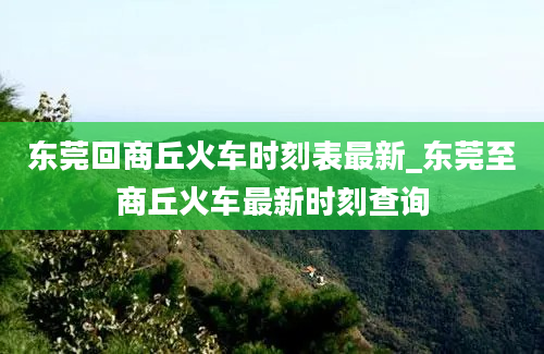 东莞回商丘火车时刻表最新_东莞至商丘火车最新时刻查询