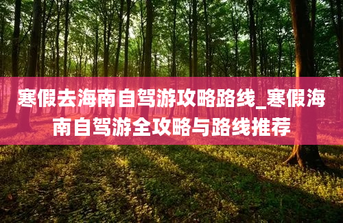 寒假去海南自驾游攻略路线_寒假海南自驾游全攻略与路线推荐