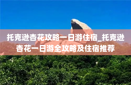 托克逊杏花攻略一日游住宿_托克逊杏花一日游全攻略及住宿推荐