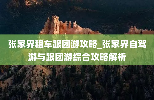 张家界租车跟团游攻略_张家界自驾游与跟团游综合攻略解析