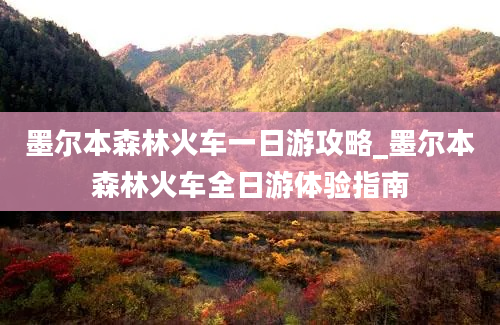 墨尔本森林火车一日游攻略_墨尔本森林火车全日游体验指南