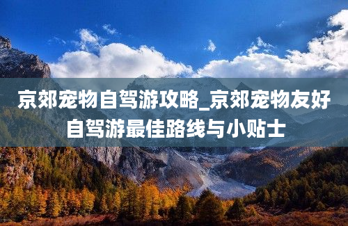 京郊宠物自驾游攻略_京郊宠物友好自驾游最佳路线与小贴士