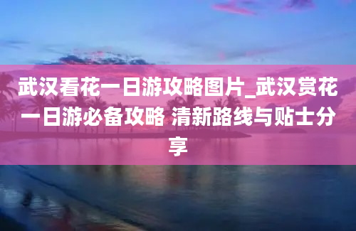 武汉看花一日游攻略图片_武汉赏花一日游必备攻略 清新路线与贴士分享