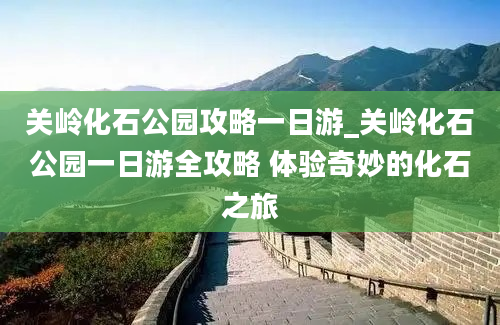 关岭化石公园攻略一日游_关岭化石公园一日游全攻略 体验奇妙的化石之旅