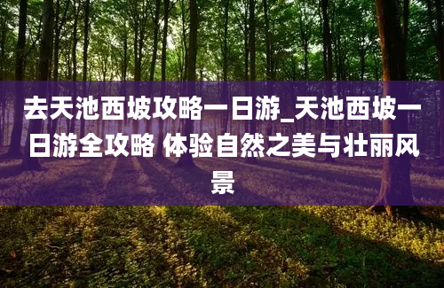 去天池西坡攻略一日游_天池西坡一日游全攻略 体验自然之美与壮丽风景