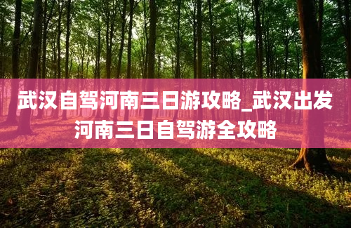 武汉自驾河南三日游攻略_武汉出发河南三日自驾游全攻略