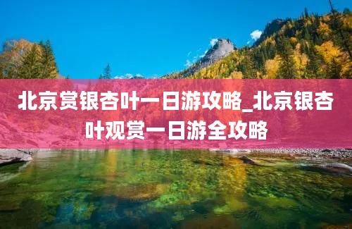 北京赏银杏叶一日游攻略_北京银杏叶观赏一日游全攻略