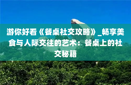 游你好看《餐桌社交攻略》_畅享美食与人际交往的艺术：餐桌上的社交秘籍