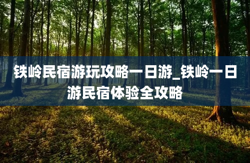 铁岭民宿游玩攻略一日游_铁岭一日游民宿体验全攻略