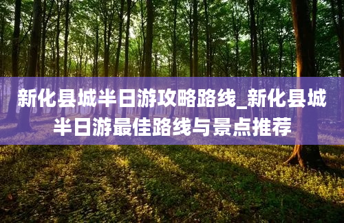 新化县城半日游攻略路线_新化县城半日游最佳路线与景点推荐