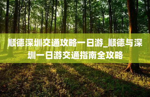 顺德深圳交通攻略一日游_顺德与深圳一日游交通指南全攻略