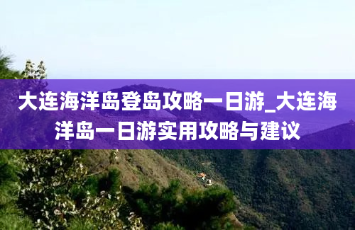 大连海洋岛登岛攻略一日游_大连海洋岛一日游实用攻略与建议