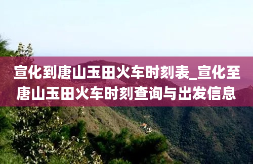 宣化到唐山玉田火车时刻表_宣化至唐山玉田火车时刻查询与出发信息