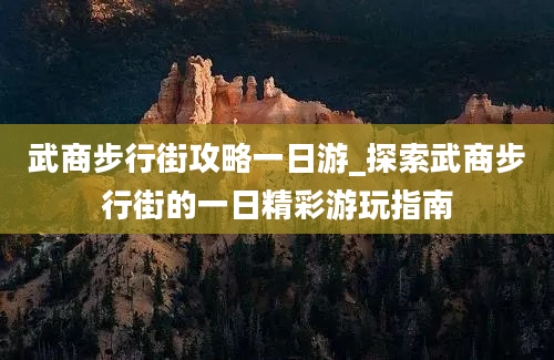 武商步行街攻略一日游_探索武商步行街的一日精彩游玩指南