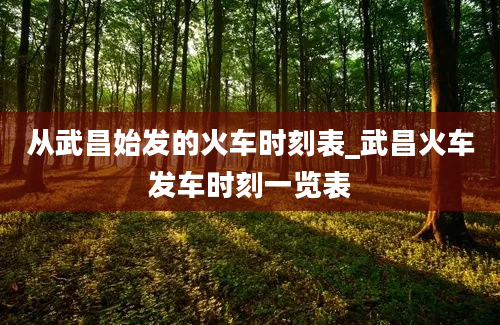 从武昌始发的火车时刻表_武昌火车发车时刻一览表