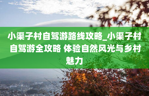 小渠子村自驾游路线攻略_小渠子村自驾游全攻略 体验自然风光与乡村魅力